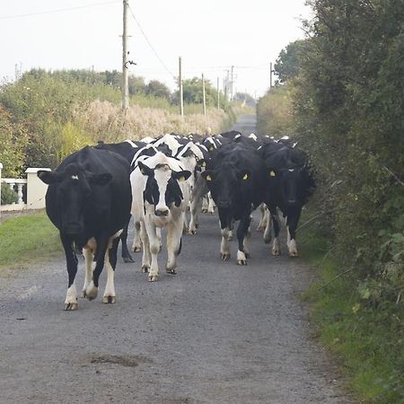 Greenfields Farmhouse Vila Ballylongford Exterior foto